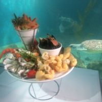 Wharf Restaurant Aquarium Merimbula